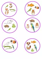 Vorschau - Spiele - Doppelgänger pets/Haustiere - Seite 3
