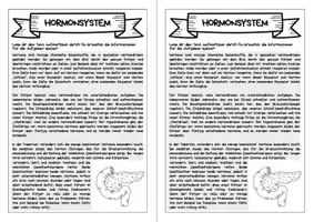 Vorschau - Arbeitsblätter - Forscherheft - Hormonsystem des Menschen - Seite 3