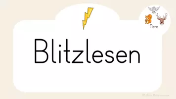 Vorschau - Präsentationen/Tafelbilder - Blitzlesen (animierte Präsentationen) - wachsendes Materialpaket - Seite 2