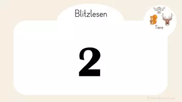 Vorschau - Präsentationen/Tafelbilder - Blitzlesen Tiere (animierte Präsentation) - Seite 3