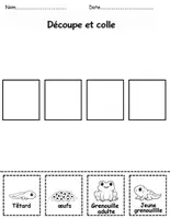 Aperçu - Matériel pour travaux manuels / dessin - Le cycle de vie Grenouille - Page 3