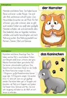 Vorschau - Stationenlernen - Tiere der Welt | Wissenskartei | Steckbriefe - Seite 1