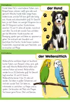 Vorschau - Stationenlernen - Tiere der Welt | Wissenskartei | Steckbriefe - Seite 3