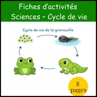 Aperçu - Matériel pour travaux manuels / dessin - Le cycle de vie Grenouille - Page de couverture