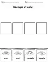 Aperçu - Fiches - Coccinelle Fiches d’activités - Page 2