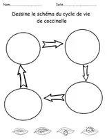 Aperçu - Fiches - Coccinelle Fiches d’activités - Page 3