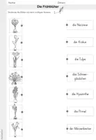 Vorschau - Arbeitsblätter - Frühblüher | Wiese - Seite 3