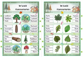 Vorschau - Stationenlernen - Wald | Klammerkarten - Seite 1