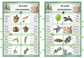 Vorschau - Stationenlernen - Wald | Klammerkarten - Seite 2