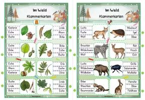 Vorschau - Stationenlernen - Wald | Klammerkarten - Seite 3