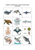 Vorschau - Spiele - Paare finden – Tiere im offenen Meer | Merkspiel mit 12 Karten - Deckblatt