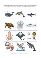 Vorschau - Spiele - Paare finden – Tiere im offenen Meer | Merkspiel mit 12 Karten - Seite 1