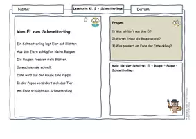 Vorschau - Arbeitsblätter - Schmetterlinge Klasse 2 | Differenzierte Lesetexte Metamorphose & Bestäubung (mit Lösungen) - Seite 1