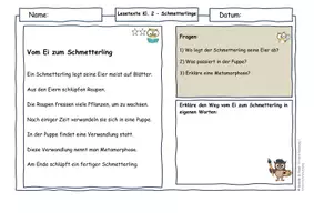 Vorschau - Arbeitsblätter - Schmetterlinge Klasse 2 | Differenzierte Lesetexte Metamorphose & Bestäubung (mit Lösungen) - Seite 2