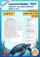 Vorschau - Arbeitsblätter - Leseverständnis Klasse 3/4/5 - Sachtext Klassenarbeit/Test/Lernzielkontrolle - Deckblatt