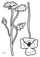 Vorschau - Mal- und Bastelvorlagen - Blumenstrauß - für Muttertag/Vatertag/Abschied/Geschenk - Seite 3