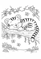 anteprima - Materiale interattivo - Tigre - Pagina di copertina