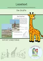 Vorschau - Arbeitsblätter - Materialpaket Afrika / Tiere / Namibia / Kontinente / Kunst - Seite 1