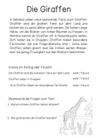 Vorschau - Arbeitsblätter - Materialpaket Afrika / Tiere / Namibia / Kontinente / Kunst - Seite 2