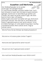 Vorschau - Arbeitsblätter - Der Weißkopfseeadler - Sachtexte für Erstleser, Leseverständnis Klasse 1 & 2 - Seite 1