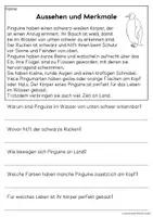 Vorschau - Arbeitsblätter - Der Pinguin - Sachtexte für Erstleser | Leseverständnis Klasse 1 & 2 - Seite 1