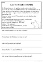 Vorschau - Arbeitsblätter - Der Eisbär - Sachtexte für Erstleser | Leseverständnis Klasse 1 & 2 - Seite 1