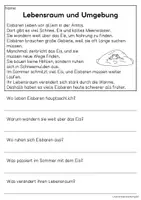 Vorschau - Arbeitsblätter - Der Eisbär - Sachtexte für Erstleser | Leseverständnis Klasse 1 & 2 - Seite 2