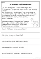 Vorschau - Arbeitsblätter - Das Lama - Sachtexte für Erstleser | Leseverständnis Klasse 1 & 2 - Seite 1