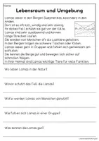 Vorschau - Arbeitsblätter - Das Lama - Sachtexte für Erstleser | Leseverständnis Klasse 1 & 2 - Seite 2