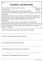 Vorschau - Arbeitsblätter - Das Axolotl - Sachtexte für Erstleser | Leseverständnis Klasse 1 & 2 - Seite 1