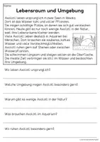 Vorschau - Arbeitsblätter - Das Axolotl - Sachtexte für Erstleser | Leseverständnis Klasse 1 & 2 - Seite 2