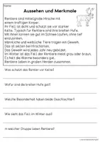 Vorschau - Arbeitsblätter - Das Rentier - Sachtexte für Erstleser | Leseverständnis Klasse 1 & 2 - Seite 1