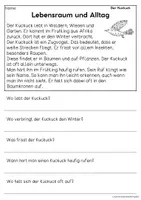 Vorschau - Arbeitsblätter - Der Kuckuck - Sachtexte für Erstleser, Leseverständnis Klasse 1 & 2 - Seite 2