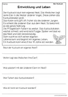 Vorschau - Arbeitsblätter - Der Kuckuck - Sachtexte für Erstleser, Leseverständnis Klasse 1 & 2 - Seite 3