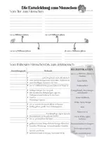 Vorschau - Arbeitsblätter - Materialpaket Entwicklung des Menschen - Seite 3