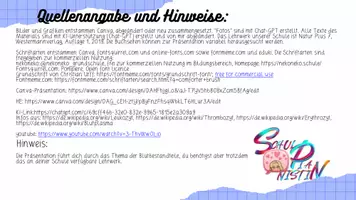 Vorschau - Präsentationen/Tafelbilder - Materialpaket: Das Herz-Kreislauf-System, NuT 7, Mittelschule - Seite 2