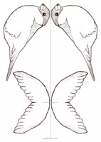 Vorschau - Mal- und Bastelvorlagen - Gimpel/Dompfaff 3D Bastelbogen - Heimische Vögel - Seite 3
