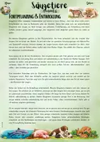 Vorschau - Unterrichtsreihen - Die Säugetiere: „Fortpflanzung & Entwicklung – Strategien der Säugetiere verstehen“ (5. & 6. Klasse | Nawi | Biologie) - Seite 1