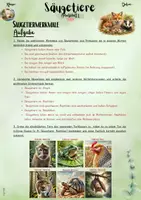 Vorschau - Unterrichtsreihen - Die Säugetiere: „Säugetiere verstehen – Merkmale erkennen und anwenden“ (5. & 6. Klasse | Nawi | Biologie) - Seite 3