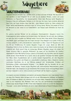 Vorschau - Unterrichtsreihen - Die Säugetiere: „Säugetiere verstehen – Merkmale erkennen und anwenden“ (5. & 6. Klasse | Nawi | Biologie) - Seite 1