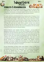 Vorschau - Unterrichtsreihen - Die Säugetiere: „„Verhalten & Kommunikation – Wie Säugetiere miteinander leben“ (5. & 6. Klasse | Nawi | Biologie) - Seite 1