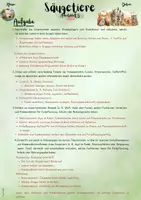 Vorschau - Unterrichtsreihen - Die Säugetiere: „„Verhalten & Kommunikation – Wie Säugetiere miteinander leben“ (5. & 6. Klasse | Nawi | Biologie) - Seite 3