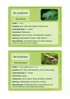 Vorschau - Text - Frosch, Kröte, Molch & co. - Infokarten - Seite 2