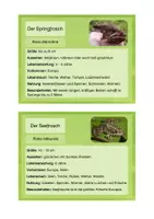 Vorschau - Text - Frosch, Kröte, Molch & co. - Infokarten - Seite 3