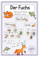 Vorschau - Arbeitsblätter - Materialpaket: Fuchs (Klasse 1/2) Lapbook + Tafelmaterial - Seite 1