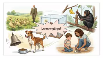 Vorschau - Arbeitsblätter - Lernvorgänge Verhaltensbiologie im Überblick: Prägung, klassische und operante Konditionierung & Lernen | Arbeitsblatt mit Infotext + Lösungen - sofort einsetzbar - Seite 2