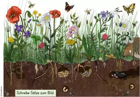 Vorschau - Arbeitsblätter - Wiese | Wimmelbild - Seite 2