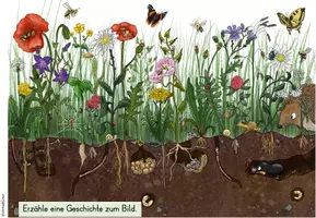 Vorschau - Arbeitsblätter - Wiese | Wimmelbild - Seite 3
