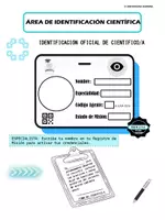 Vista previa - Hojas de trabajo - Mujeres en STEM secundaria | Actividades de análisis de datos - página 3