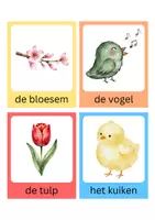 Voorbeeld - woordkaaten thema lente, met lettergrepen groep 1/2 - Pagina 2